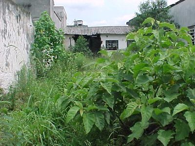 Terreno, 420 m² - Foto 2