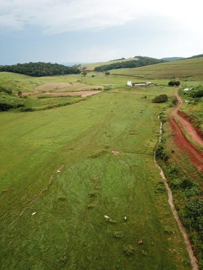 Fazenda, 5 quartos - Foto 3