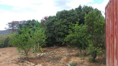 Terreno, 4681 m² - Foto 5