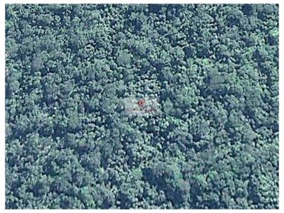 Fazenda, 5 hectares - Foto 2