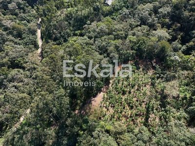 Terreno, 3 hectares - Foto 4