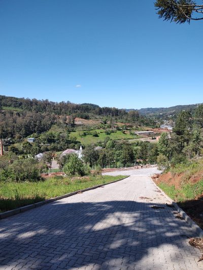 Terreno, 270 hectares - Foto 2