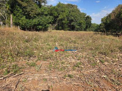 Terreno, 2 hectares - Foto 4