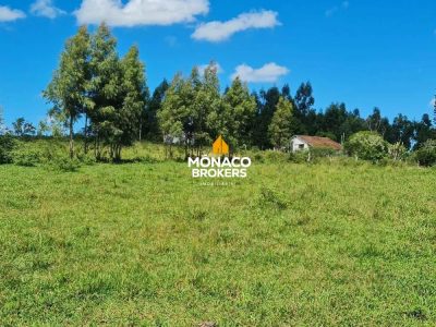 Fazenda, 252 hectares - Foto 3