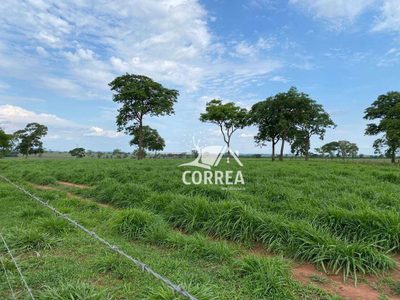 Fazenda, 829 hectares - Foto 3