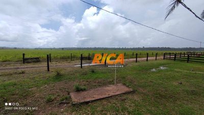 Fazenda, 402 hectares - Foto 4