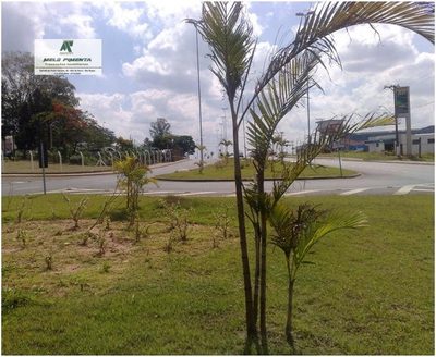 Sala-Conjunto, 25000 m² - Foto 5