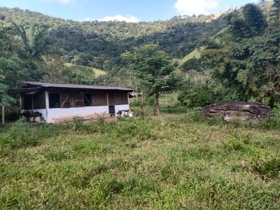 Sítio, 3 quartos, 48 hectares - Foto 4