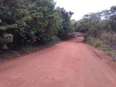 Terreno, 4 hectares - Foto 1