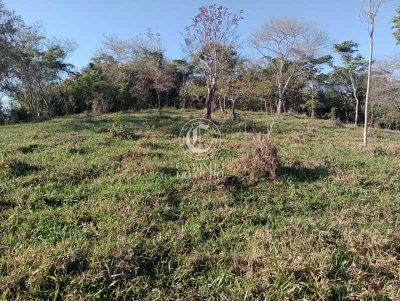 Terreno, 11 hectares - Foto 5