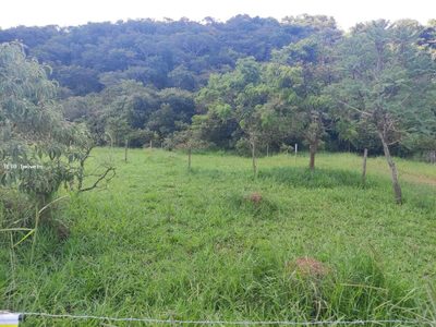 Terreno, 1028 m² - Foto 3