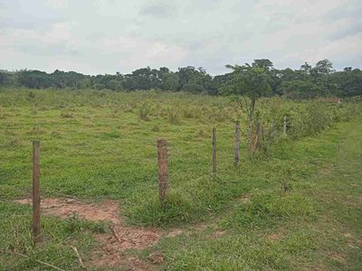 Sítio, 45 hectares - Foto 2