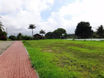 Terreno, 3200 m² - Foto 4