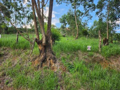 Terreno, 300 m² - Foto 2