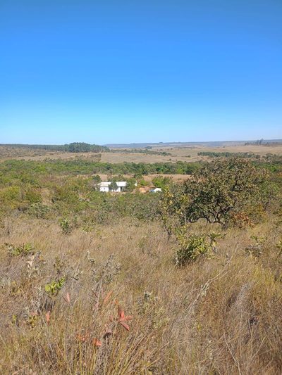 Sítio, 4 quartos, 2 hectares - Foto 4
