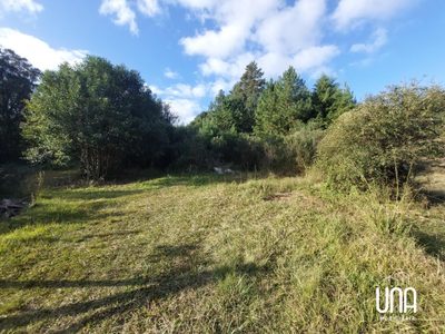 Terreno, 3 hectares - Foto 1