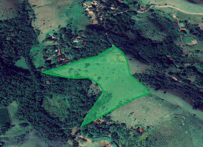 Terreno, 4 hectares - Foto 4