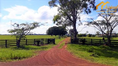 Fazenda, 247 hectares - Foto 1