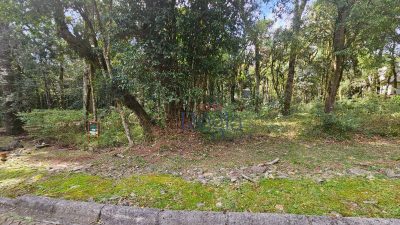 Loteamento e Condomínio, 605 m² - Foto 3