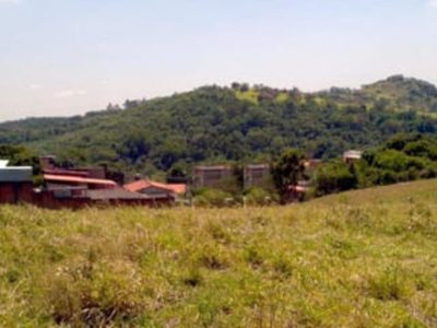 Terreno, 3 hectares - Foto 3