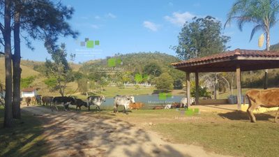 Terreno, 64 hectares - Foto 3