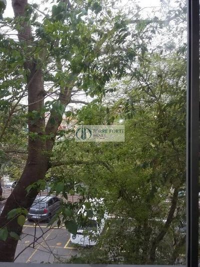 Apartamento, 3 quartos, 52 m² - Foto 3