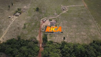 Fazenda, 537 hectares - Foto 4