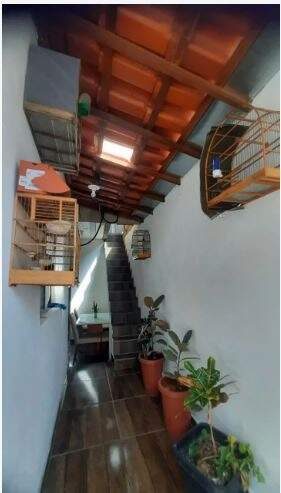 Casa, 3 quartos, 42 m² - Foto 3