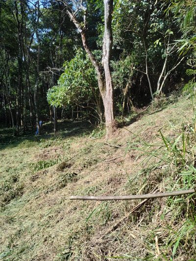 Terreno, 1250 m² - Foto 4