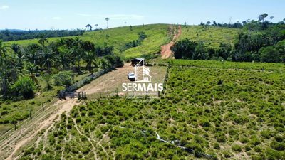 Fazenda, 2723 hectares - Foto 1