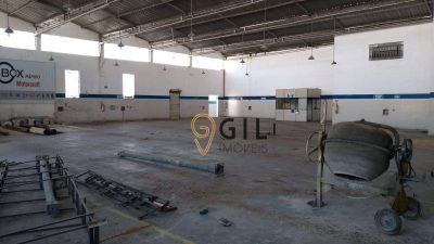 Depósito-Galpão, 1000 m² - Foto 4