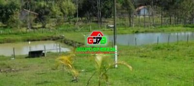 Terreno, 1 hectares - Foto 3