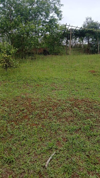 Terreno - Foto 2