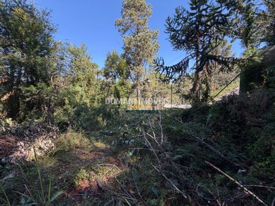 Terreno, 1040 m² - Foto 1