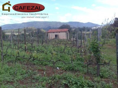 Terreno, 4 hectares - Foto 3