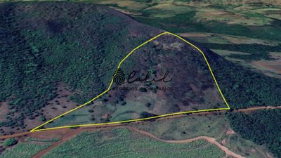 Sítio, 7 hectares - Foto 4