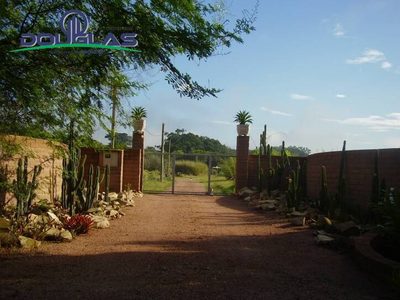 Sítio, 3 quartos, 3 hectares - Foto 1