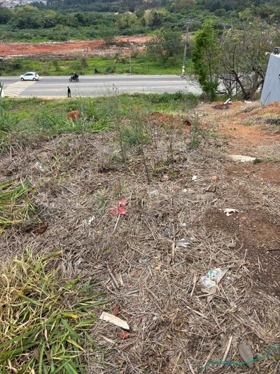 Terreno, 262 m² - Foto 3