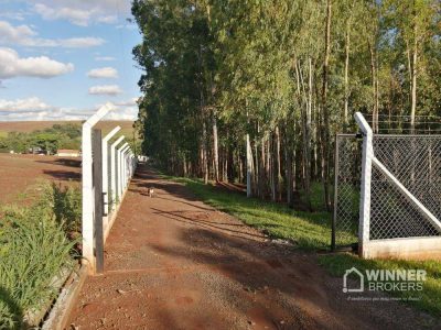 Sítio, 4 quartos, 3 hectares - Foto 4