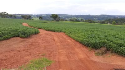 Fazenda, 501 hectares - Foto 5