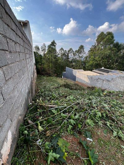 Terreno, 250 m² - Foto 3