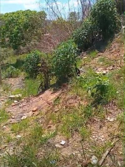 Terreno, 360 m² - Foto 2