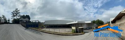 Depósito-Galpão, 6000 m² - Foto 4
