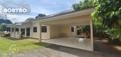 Casa, 4 quartos, 800 m² - Foto 4