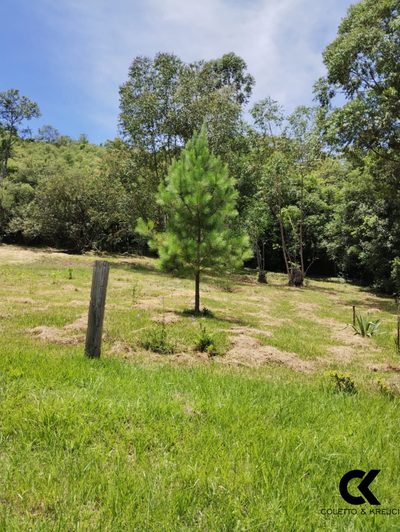 Terreno, 5280 m² - Foto 4