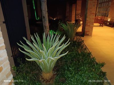 Casa, 7 quartos, 750 m² - Foto 3