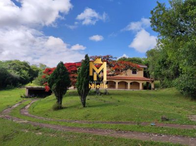 Terreno, 1300 m² - Foto 5