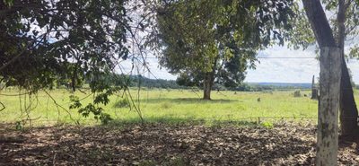 Chácara, 50 hectares - Foto 2