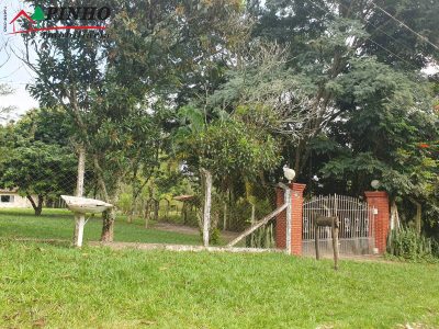 Casa, 5 quartos, 400 m² - Foto 4