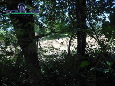 Terreno, 800 m² - Foto 2
